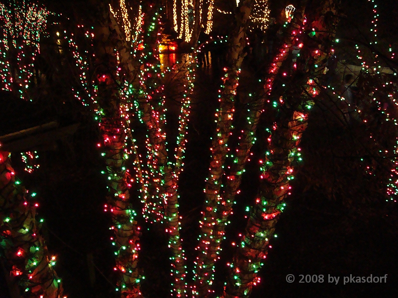 015 Toledo Zoo Light Show [2008 Dec 27].JPG - Scenes from the Toledo Zoo Light Show.